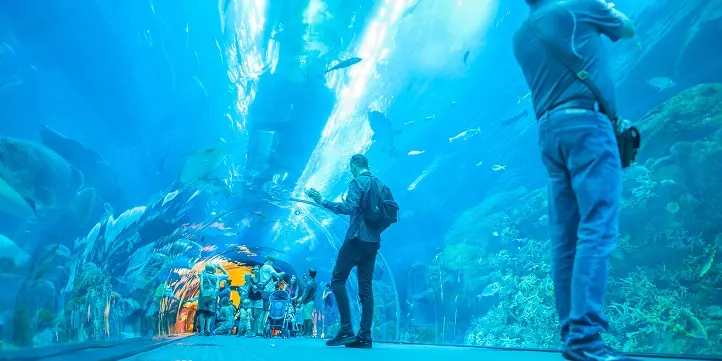Dubai Mall Aquarium Tickets